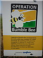 Operation Bumble Bee at Little Givendale Farm