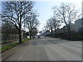 Fenby Avenue - viewed from Fenby Close