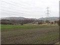 Farmland, Blackwood