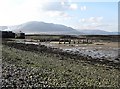 Shingle beach east of Greencastle Pier