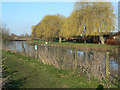 River Avon at Warwick Road Lands