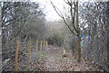 Footpath through Cliffe Gravel Works