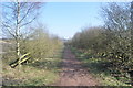 Bridleway to Old Clipstone