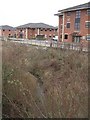 Shottery Brook upstream in the Business Park