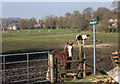 Lambourn Valley Way