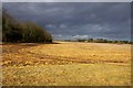 Field by Sheepstead Road