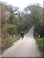 Bridge over a small stream near Truthan