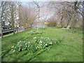 Green Chain Walk on Thamesmead