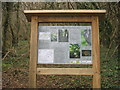 TR2742 : Information board on Gorsehill and Stonyhill Woods by David Anstiss