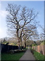 Footpath to Oakwood Park, London N14