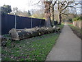 Fallen Tree, Footpath to Oakwood Park, London N14