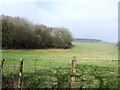 Field at edge of Sibton Wood, Rhodes Minnis, Kent