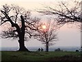 Watching the sun go down, Richmond Park