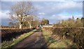 Country lane near Shawdon Hill.