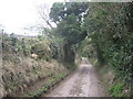 Access road to Whiting PoultryFarm