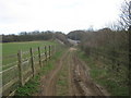 North Downs Way towards London Road