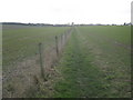 Footpath towards Whitfield