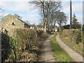 NZ0119 : Mire Lane Cotherstone by peter robinson