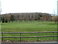 Llanwern golf course viewed from Station Road