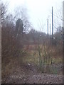 Abandoned railway yard, Leicester