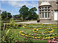 Summer flower beds