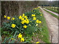 Spring by Little Wildwood Farm