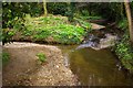 Confluence of the Folly and Dollis Brooks, Woodside Park