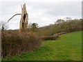 Footpath near Purse Caundle