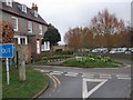 Daffodils by the roadside in Alfriston