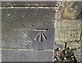 Bench mark on Dane Bridge