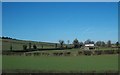 Farm buildings and a bungalow on the Bonecastle Road