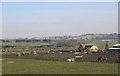 Livery Horses - off Holme Lane