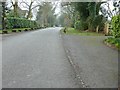 Winterpit Lane entering Mannings Heath from the east