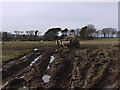 Field south of Maes-y-meillion farm