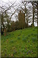 Croydon: Park Hill, Water Tower