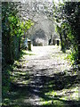 Footpath, Boreham