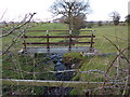 Footbridge to the north of Gooseleach Lane