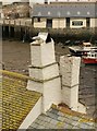 SX2050 : Gull on chimney, Polperro by Derek Harper