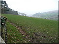 Field off Ridgebourne Road, Kington