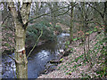 Trubb Brook in Hopwood Clough