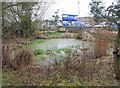 Small pond by footpath near Hollow Farm