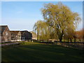 Willows and Farm Buildings, Turners Puddle