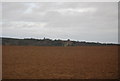 Red field south of Ayton