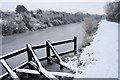 Frozen Sharpness canal