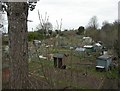 Kenilworth, allotments