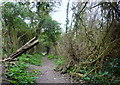 Bridleway to London Road, Temple Ewell