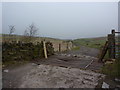 Cattle grid and the road to High Withins