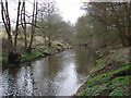 River Bollin