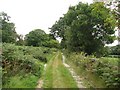 Track above East Arnecliff Wood