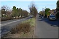 Palmerston Way and Ring Road in Knighton